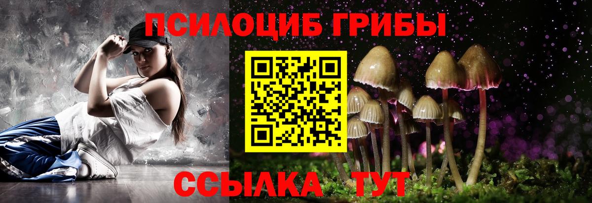 Великие Луки  Псилоцибиновые грибы прущие грибы  Галлюциногенные грибы ЛСД  Вход с VPN 